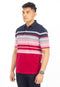 IDEXER MENS POLO T-SHIRT [REGULAR FIT] ID0272